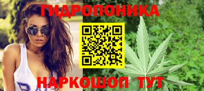 мдпв Можга